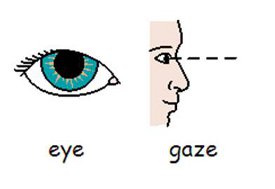 eye_gaze_resize